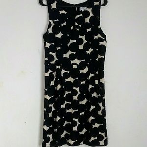 Ann Taylor Loft Dress